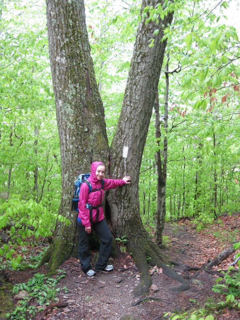 Excited to be hiking along the Appalachian Trail ... until we realized we had taken a wrong turn!