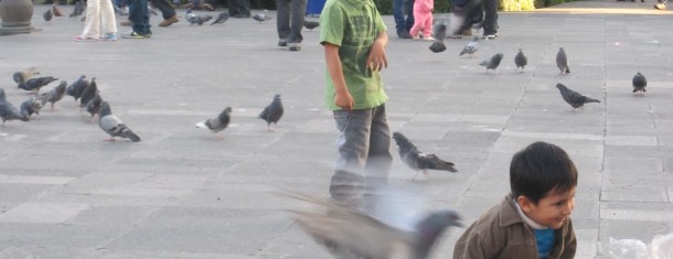 The Weekly Worldview: Chasing pigeons in Arequipa