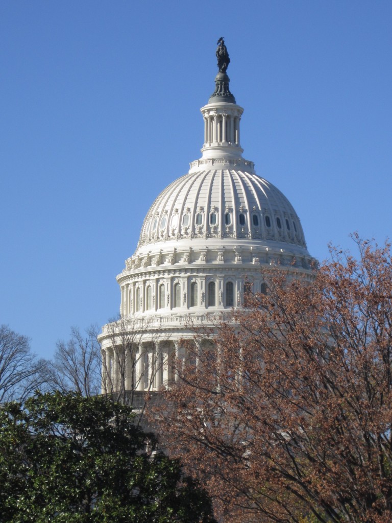 The United States Capitol Building