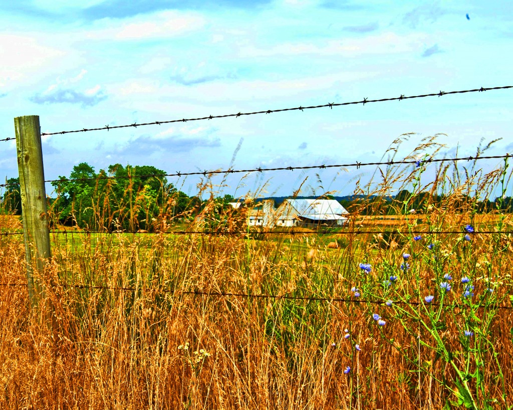 A farm in Warrick County, Indiana