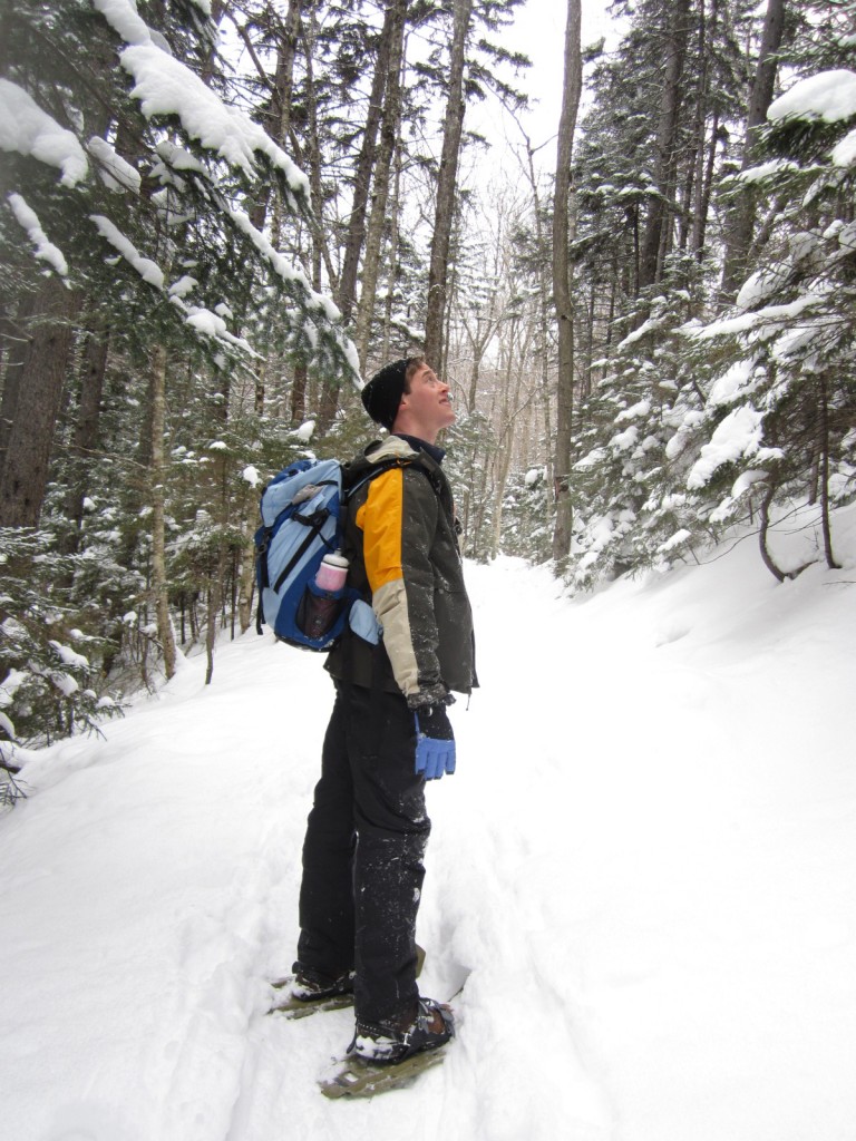 Admiring the beauty along the Arethusa Falls trail in Crawford Notch State Park