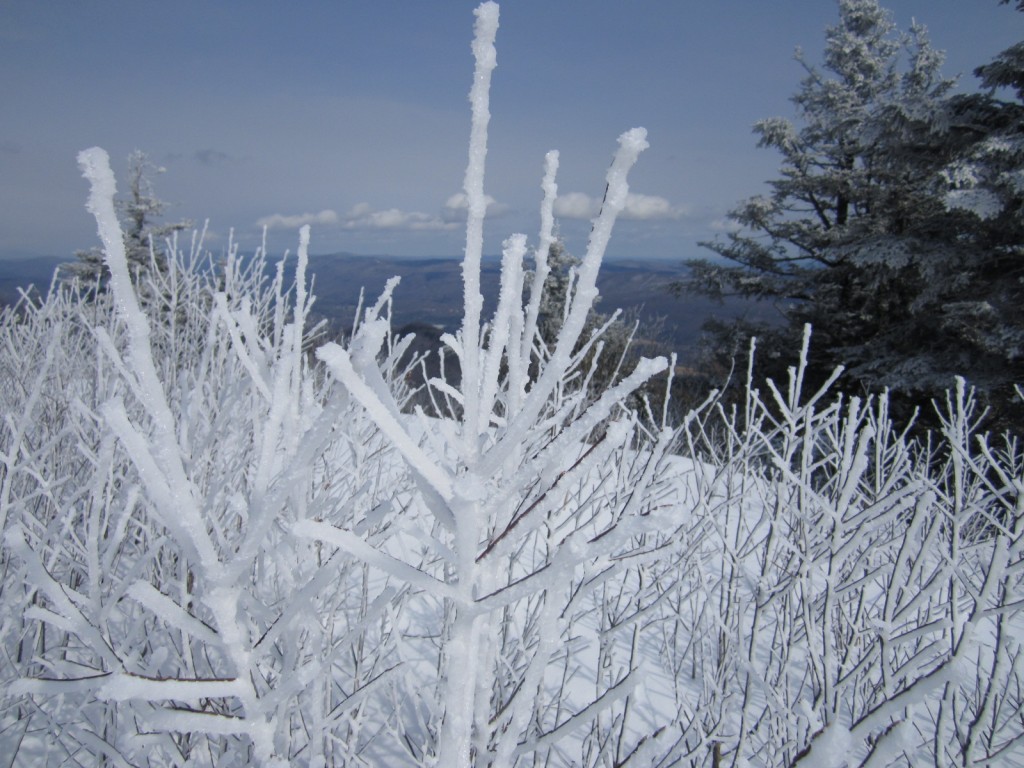 In mid-February, ice clings to everything atop the summit of 3,491 ft. Mt. Greylock, the highest point in Massachusetts. 