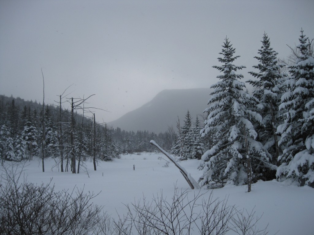 A fresh snowfall blankets the landscape along the trail to AMC's Zealand Falls Hut in New Hampshire's White Mountains