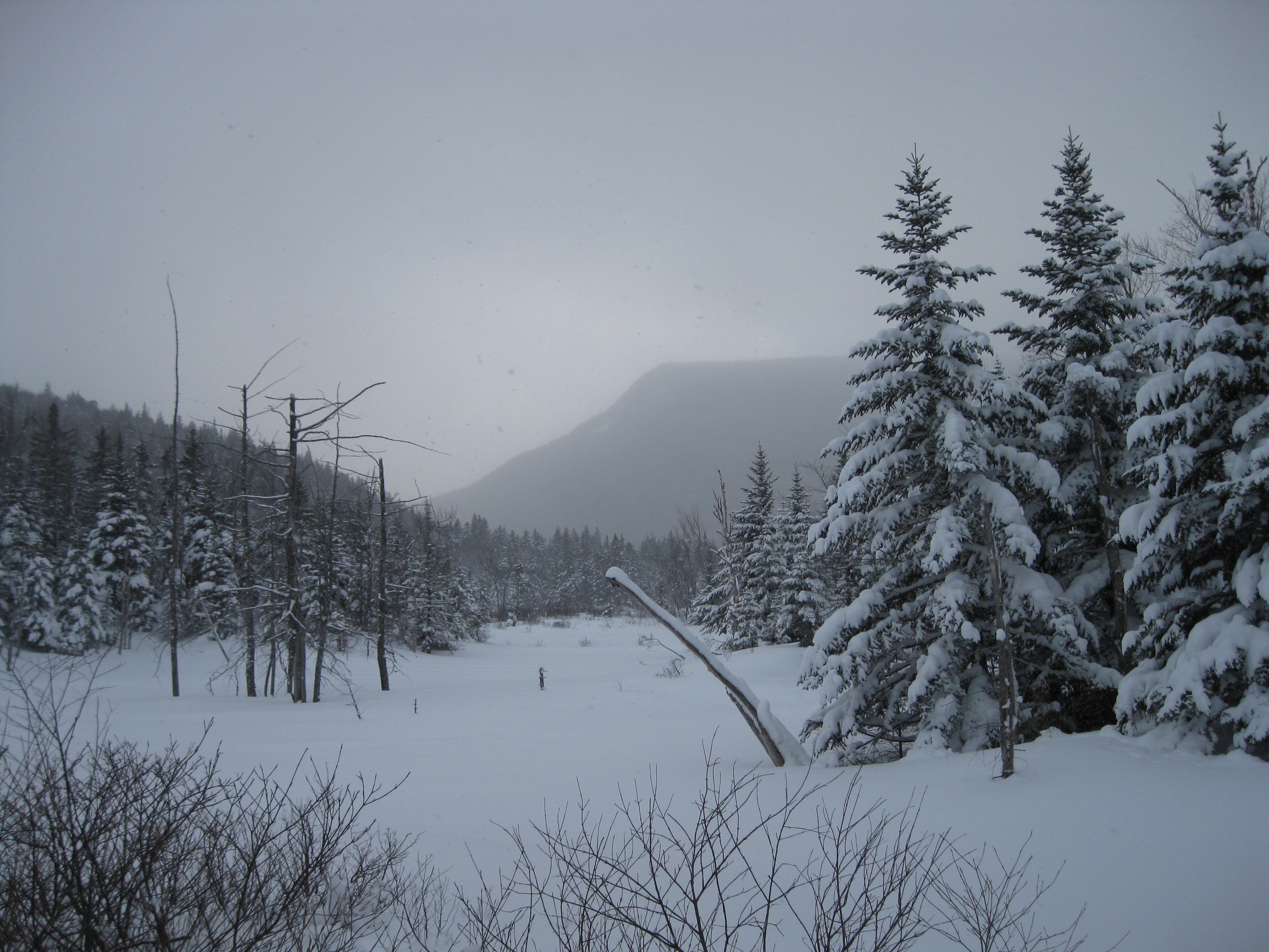 A fresh snowfall blankets the landscape along the trail to AMC's Zealand Falls Hut in New Hampshire's White Mountains