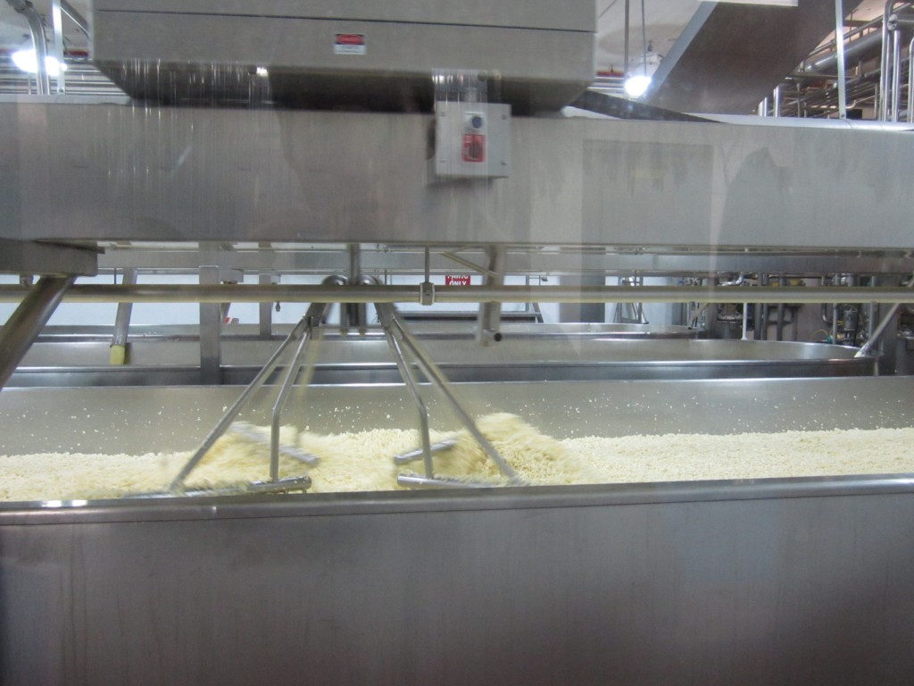 Separating curds from whey at the Cabot Cremery