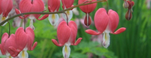 3 reasons we’re looking forward to spring in New England: A photo essay