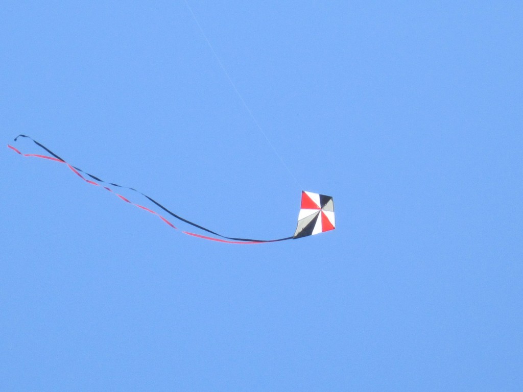 Families fly their kites at Hampton Beach in New Hampshire