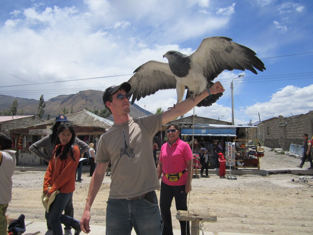 And before we left, a condor landed on my arm! Just kidding. It's somebody's pet falcon in one of the nearby villages. 