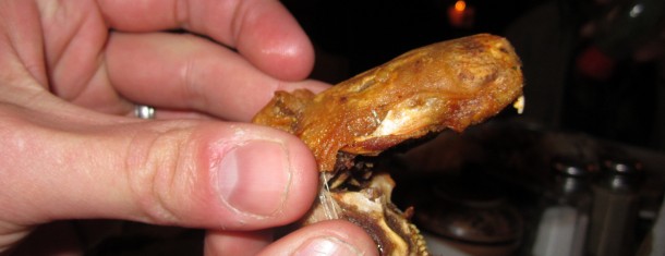 The best guinea pig we’ve ever tasted …