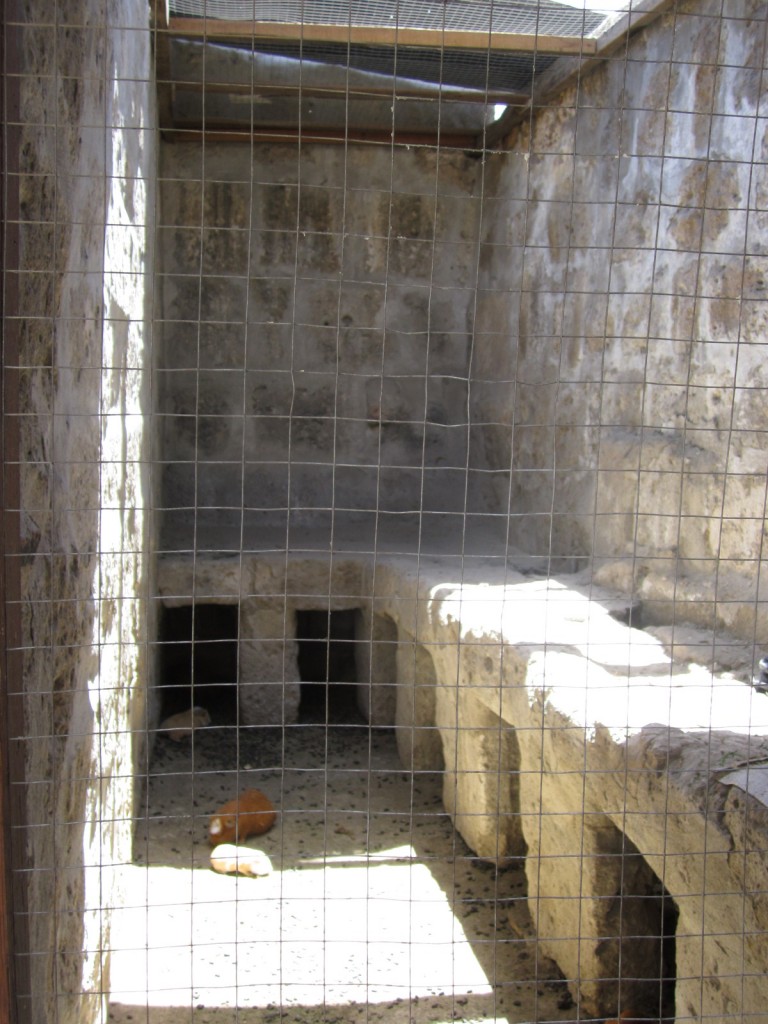 These little guinea pigs await their fate ... 