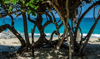 Why Cozumel is not just for divers anymore