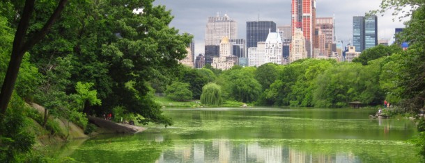 The Weekly Worldview: New York’s Central Park