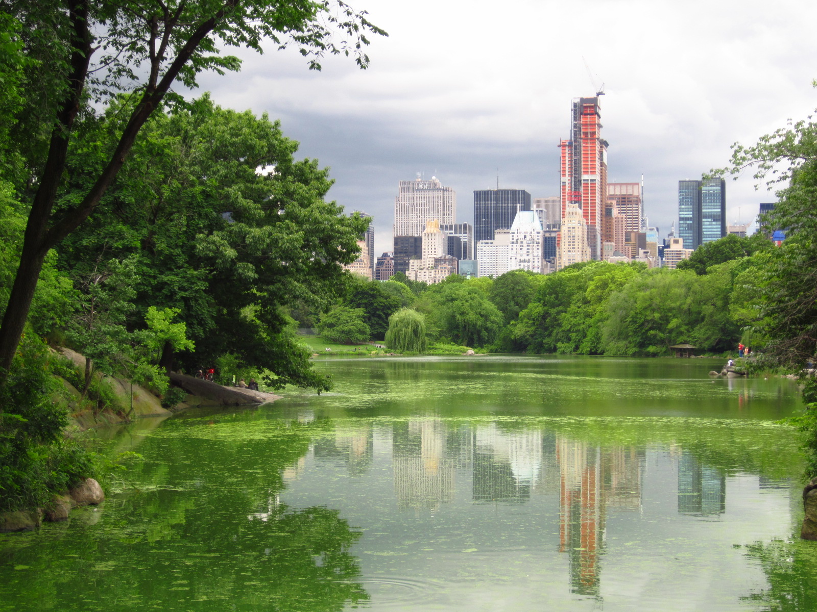 The Lake in Central Park; New York City