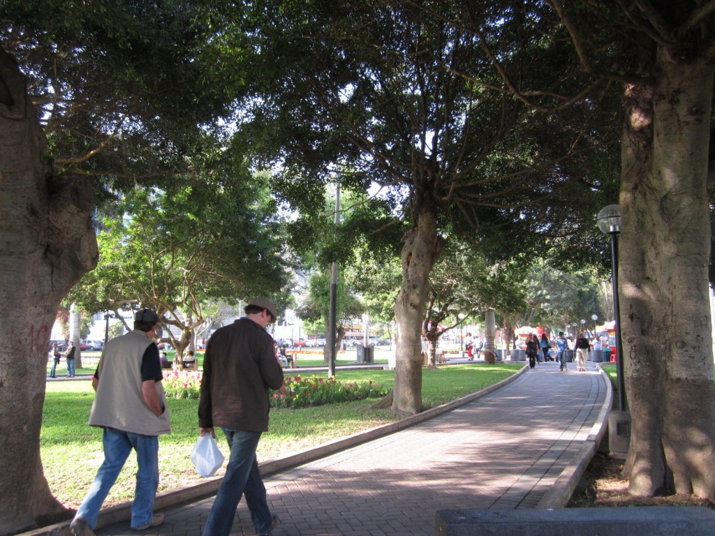 Take a stroll through Parque Kennedy in Miraflores. It is named in honor of U.S. President John F. Kennedy.