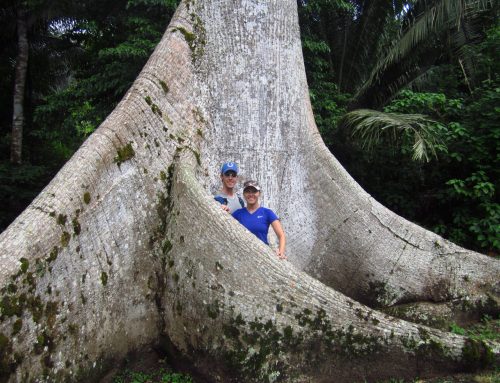 10 things you might not know about Belize