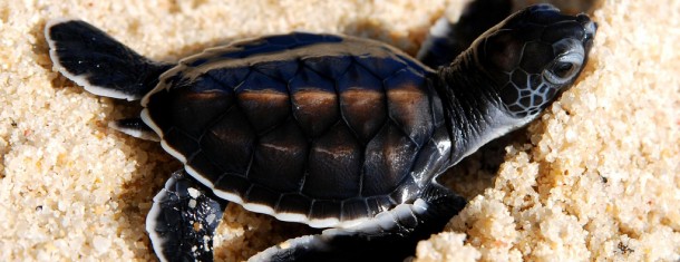 3 days in paradise: Malaysia’s Perhentian Islands