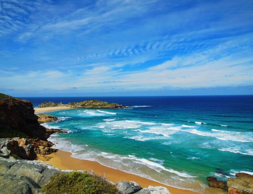 5 must-sees in Cape Town