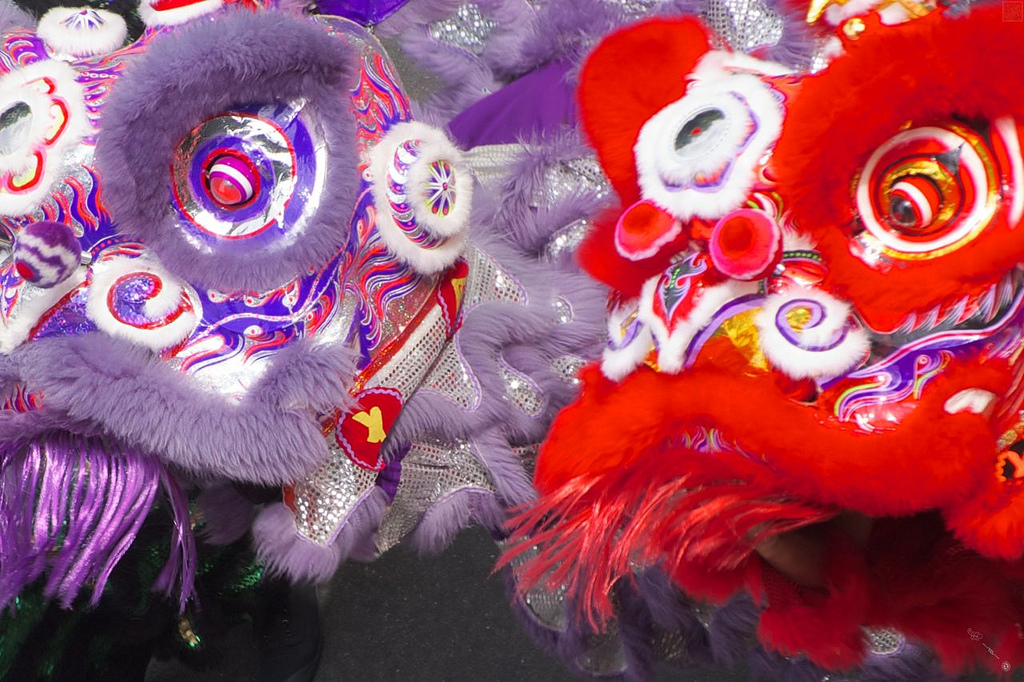 8460916980_22cc19f50b_b